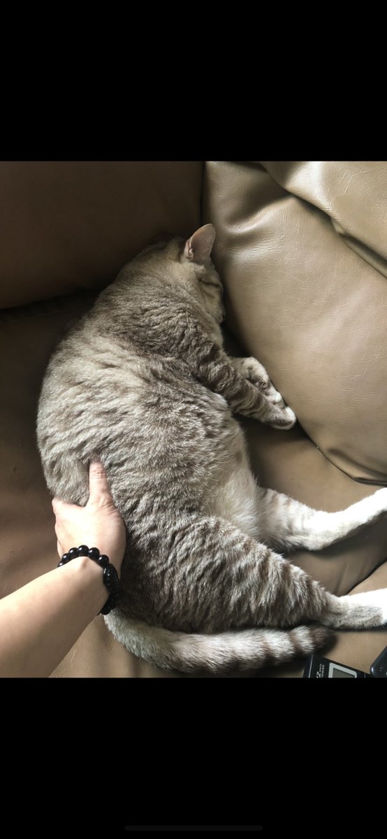 8 ปีที่แล้ว                            ถ่ายเมื่อกี้