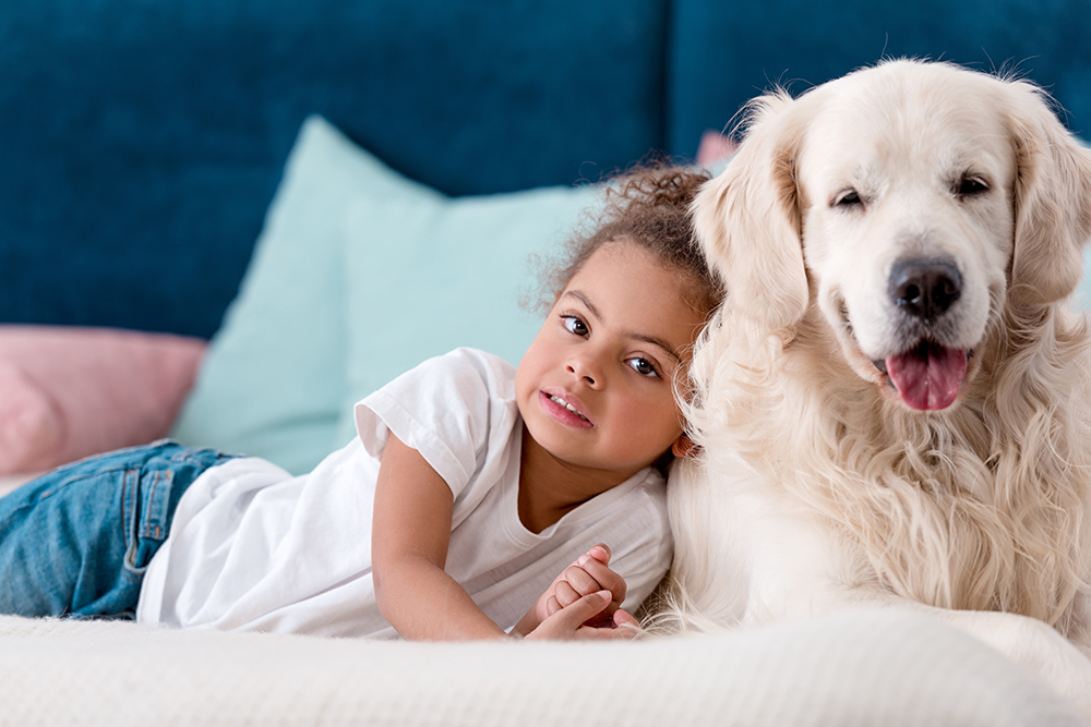 OSV's tweet photo. .@MsgrPope answers the question, “What happens to the souls of pets when they die?” He proposes that it is possible to believe animals will partake of the new creation after the Second Coming https://t.co/NEPQmnh7yt
#osvcoverage #osvnews https://t.co/u9a08pXulZ