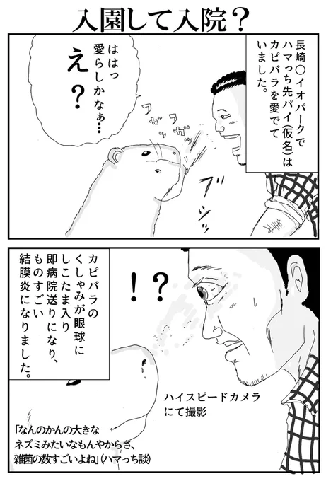深夜なのでカピバラの漫画です。
長崎○イオパーク 