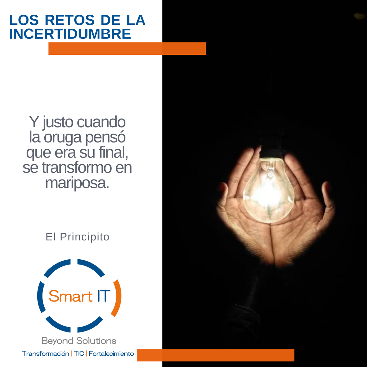 SmartITSol tweet picture