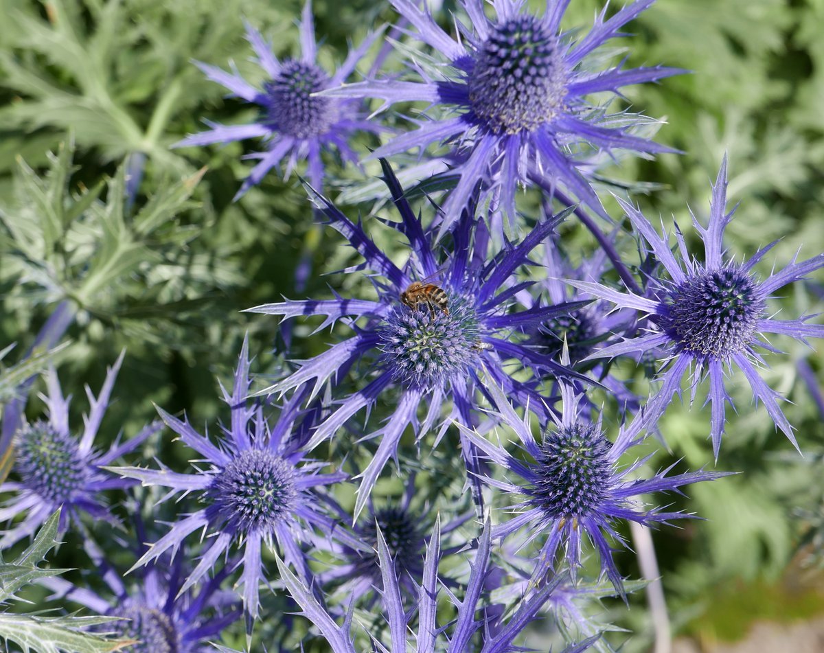 u3a_UK's tweet photo. There's still time to enter your photo submissions into U3A Eye for the current theme, 'Abstract' which closes on Thursday.

Enter here https://t.co/tfR8SgG5Z5 and see the full gallery for 'Blue'

📷  L-R: Janet from Devizes&amp;District U3A, Joan from Bury U3A, Tom from Lanark U3A https://t.co/kiBouE4IIc