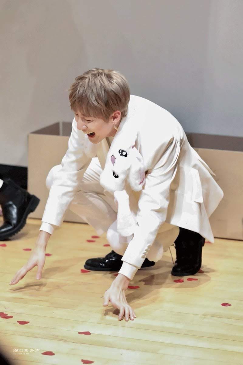 Jihun - Hindbærsnitte (Raspberry slice)Two amazing slices with two thin layers of sweet harmony. It's surface is a match made in heaven with your plate.... or the floor