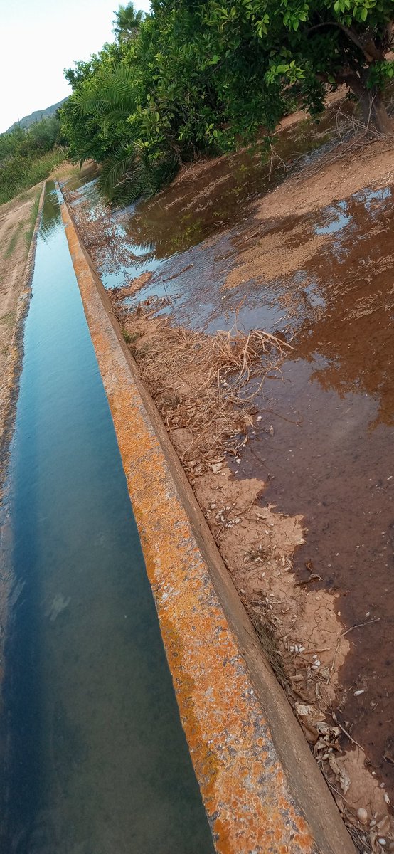 OBorrasAnna's tweet photo. Contrastos de l'estiu, d'una taula a l'altra...en qüestió d'hores. #reg2.0 https://t.co/04oFkkUZNH