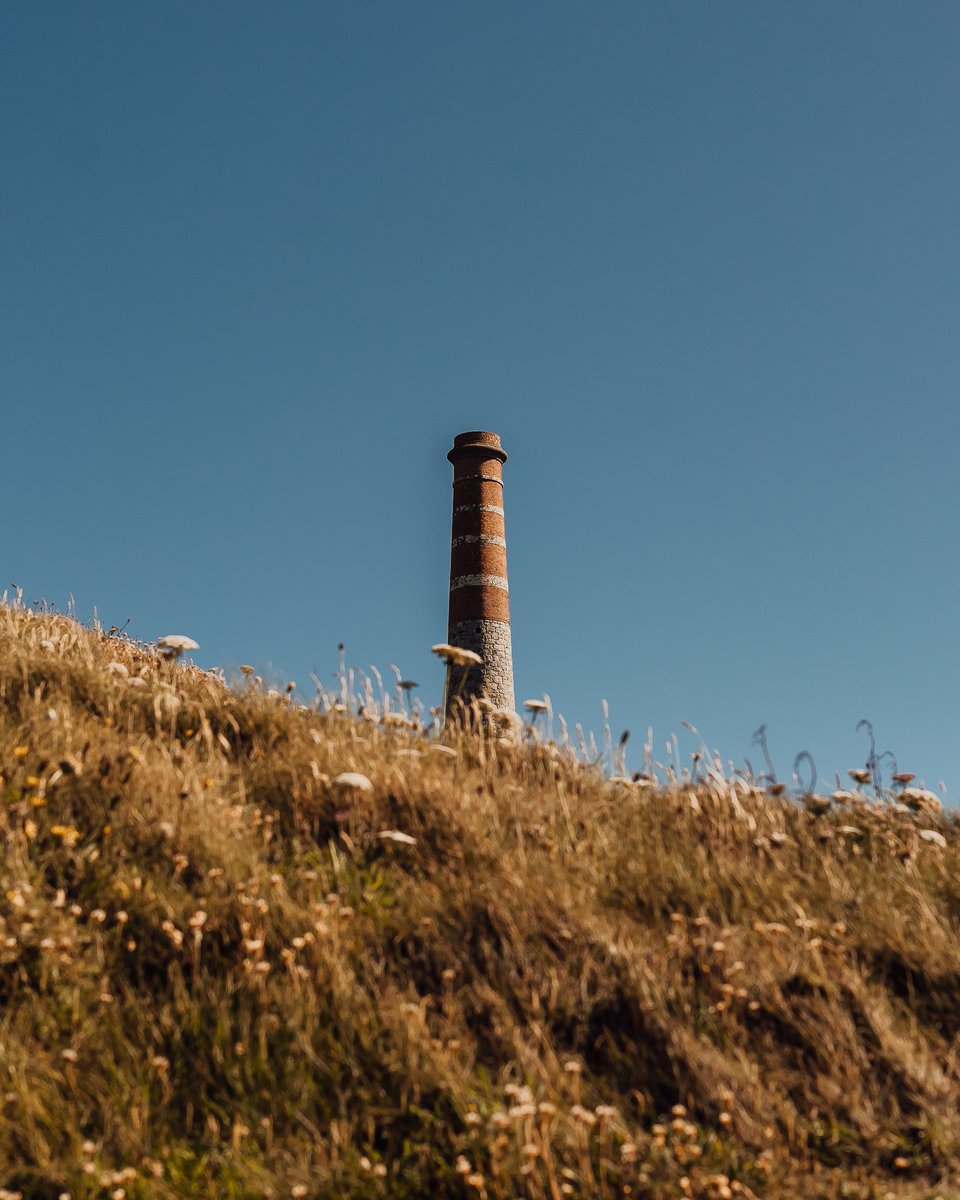 Matt_Captures's tweet photo. Was a lush day down #LevantMine when I shot these 😍 https://t.co/gEq0AMc6Tf