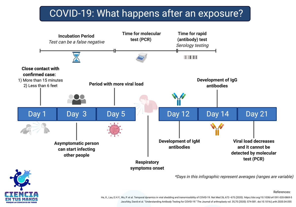 drkevindejesus's tweet photo. Given today's @MLB experience with COVID-19 spreading,  here's an infographic with a simplified timeline of disease progression and when to test. Hope it helps!
Original in Spanish by our group: @CienciaTusManos @dr_mjramos @KevinRDeJesus https://t.co/V2BBw81Muf