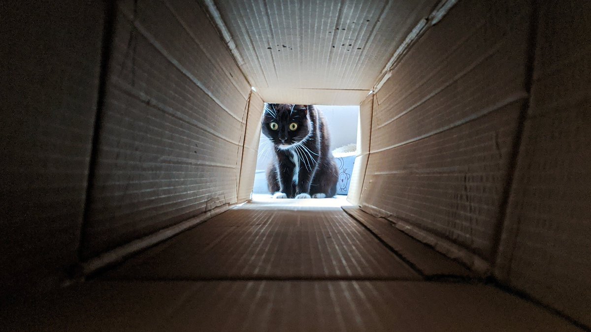 CuriousZelda's tweet photo. There is always fright at the end of the tunnel. https://t.co/fs7O5jXNL8