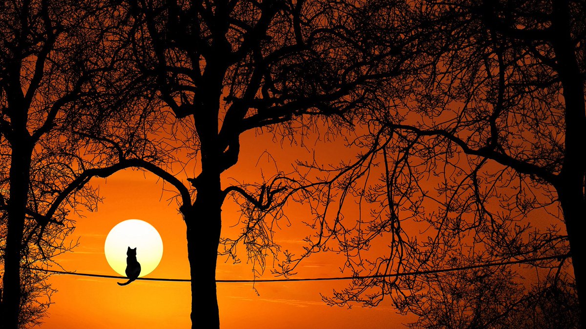 devangrt's tweet photo. @KatanaHugo Good evening my friend...🌇 https://t.co/LprfOrvxKB