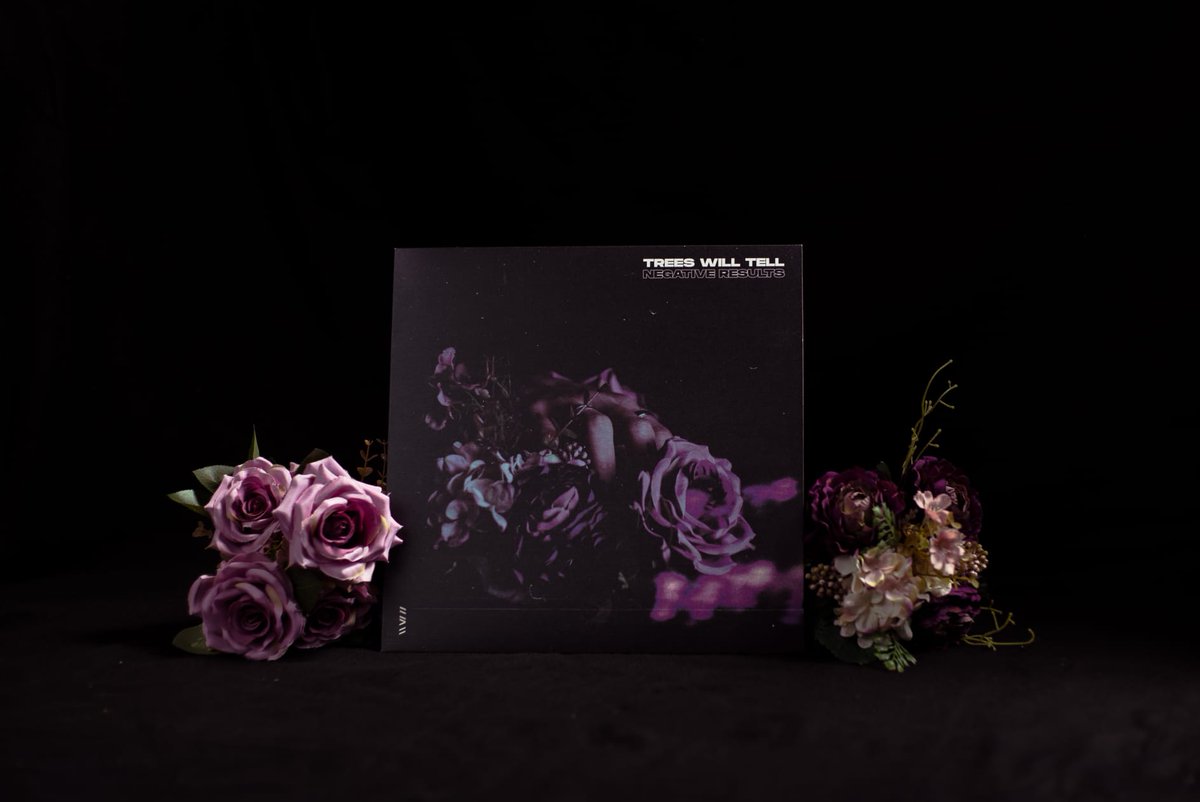 Trees Will Tell tweet media