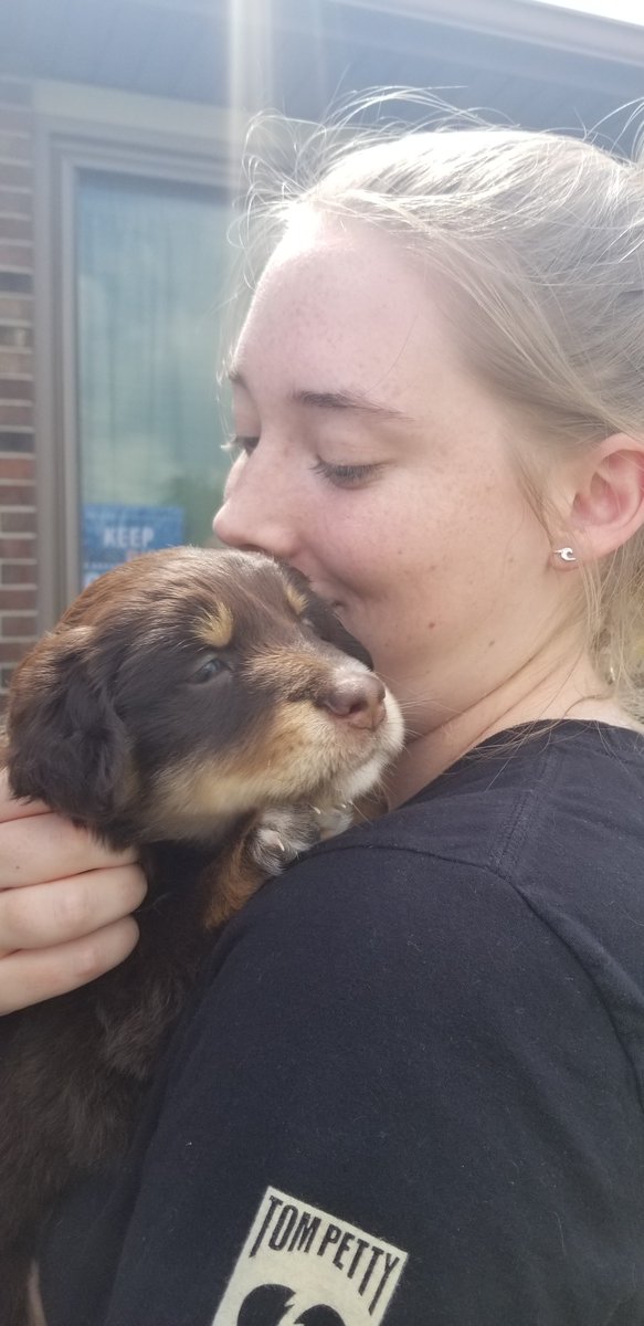 Service Dog for Maddie gofundme.com/f/fbpdz-servic…
