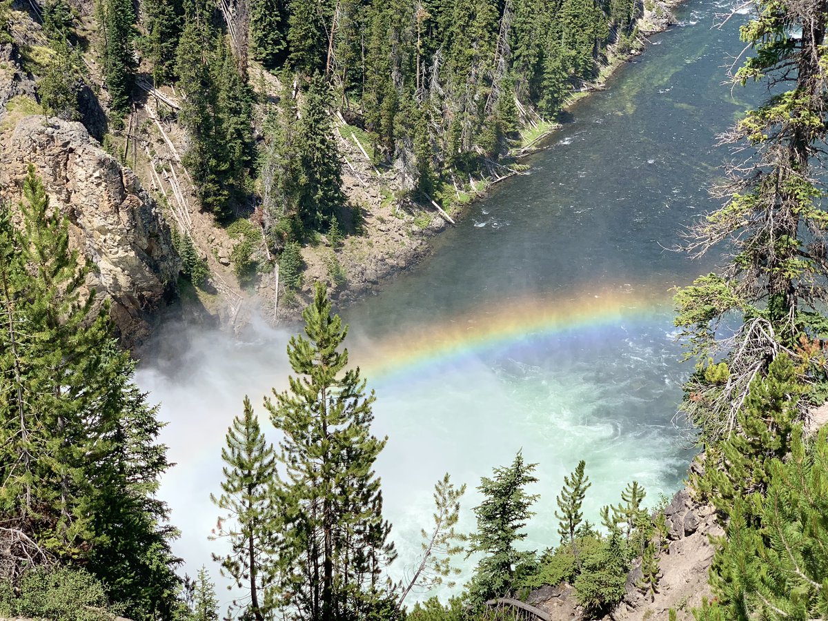 FontenotFam5's tweet photo. Yellowstone NP does not disappoint💕Why have I not been here sooner. #RT2020 #YSNP #FontFam+Cuzn https://t.co/DriBWdaxsh