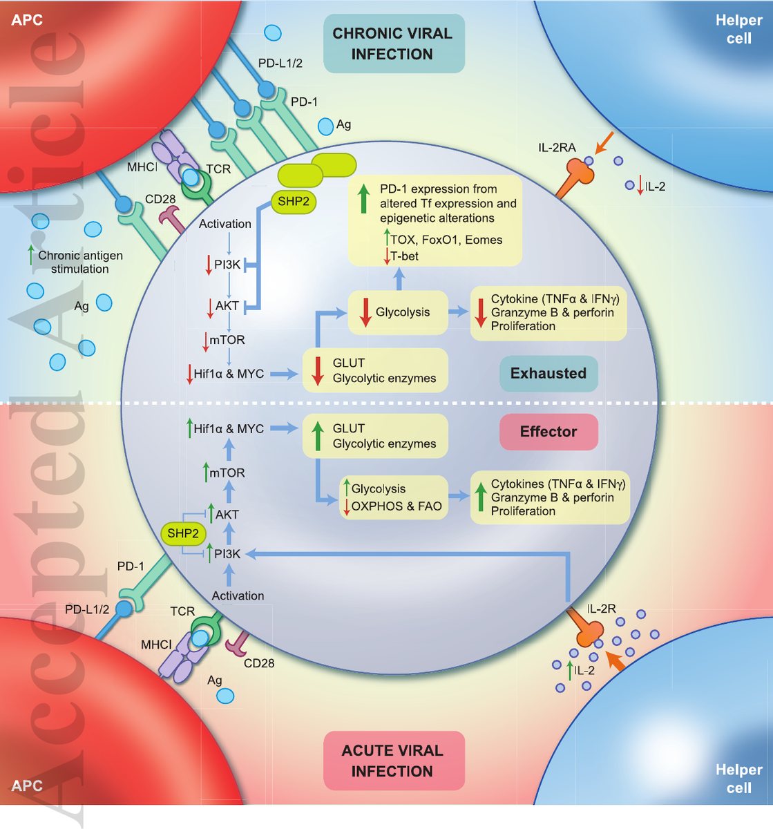 Dr Clovis Palmer tweet media
