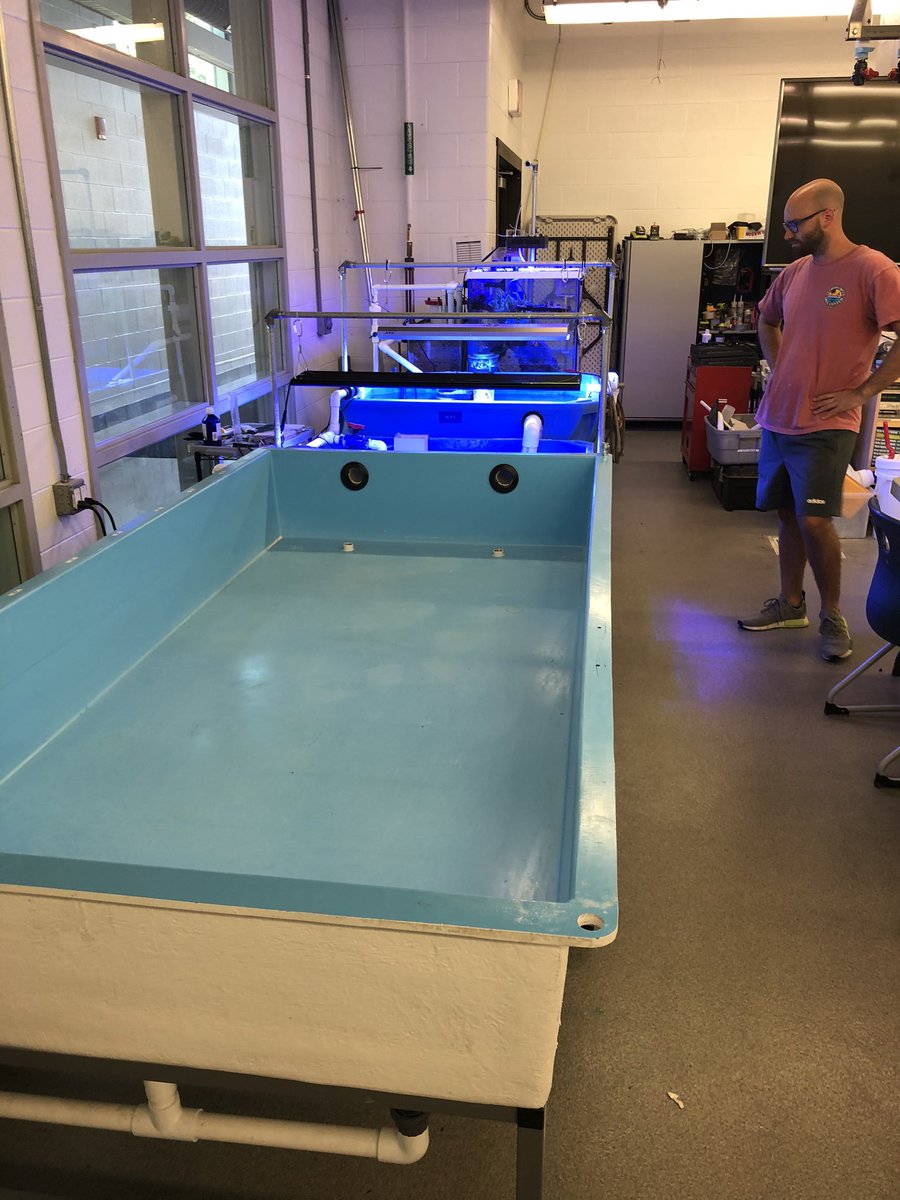 MSMHSaqua's tweet photo. Summer time mean updates to the #MSMHS #aquaculture lab. Check out the #coral propagation tank. Upgrades include a new tank, pump, protein skimmer, new lights and tons more room for eye-popping coral. #reef #saltwater https://t.co/EzB3RTXdad