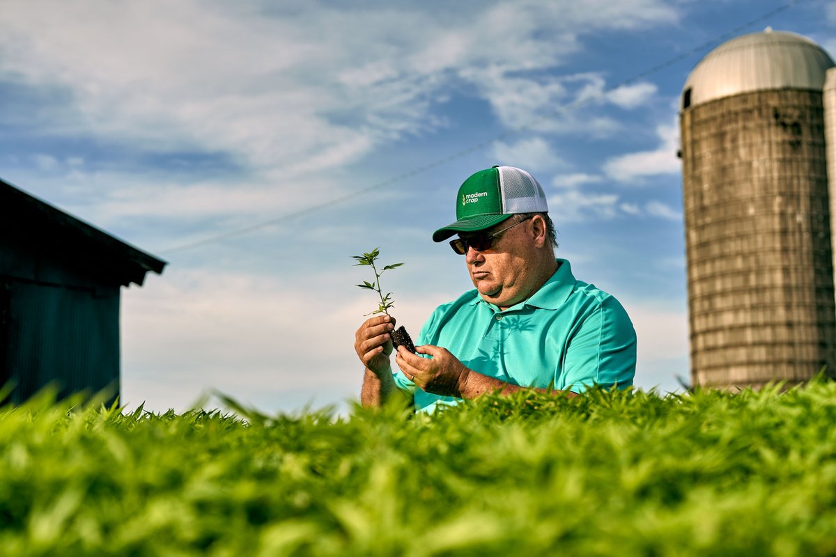 Harvesting Science.

#hemp #hempcrop #agriculture #hempfield #hempplants #kentucky #farming #farmers #plants #innovation
