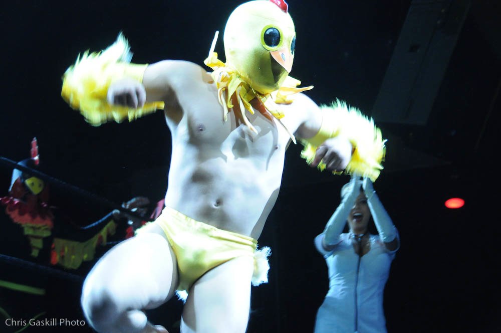 ChickensLVV's tweet photo. #ChickenTuesday #LilChicken brk-ooock buck,buck BUCUCK BUCUCKAAW! https://t.co/mdolRfcmzX