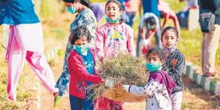 LakeEcosystem tweet media