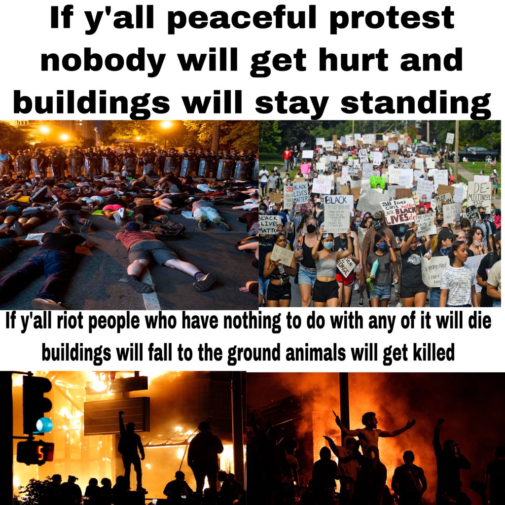 Emily76286117's tweet photo. Y’all are no longer just affecting cops you are tear families apart you are killing innocent people and animals it’s one thing to affect cops it is a whole other thing to affect families and animals like y’all killed a horse and made a horse lose its eye y’all need to stop riots https://t.co/a0r52AGDQf