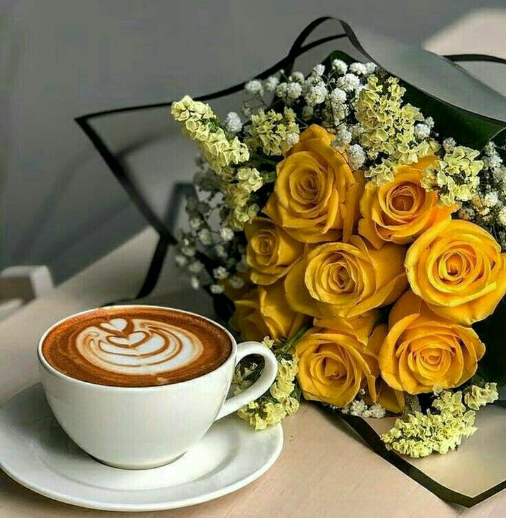 🕊️..˹طيــوف الذكريـات ..🕊️ tweet media