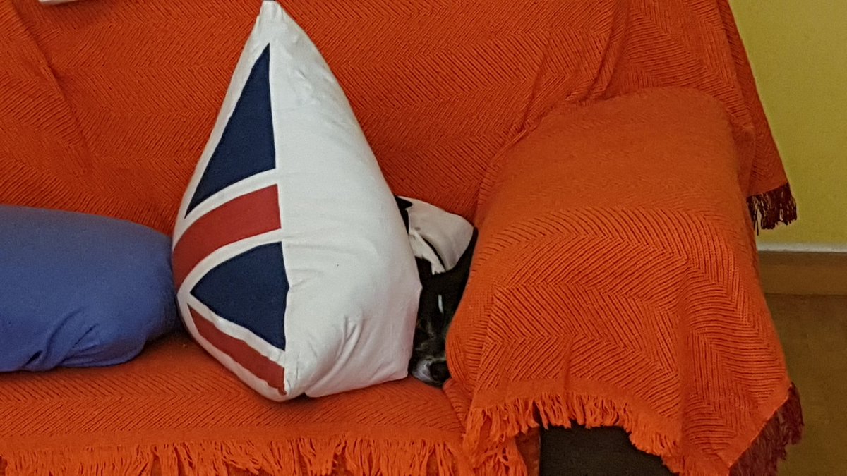 Ana_R_Palma's tweet photo. https://t.co/buK2nwsfsD
.
#BuenasTardes #GoodEvening #perro #dog #huecoparadormir #spottosleep #miperromola #quieroamiperro #Ilovemydog #dogslover #dogsfamily #dogsoftwitter #GranCanaria #IslasCanarias #CanaryIslands #Canarias https://t.co/2WoVrRxvmr