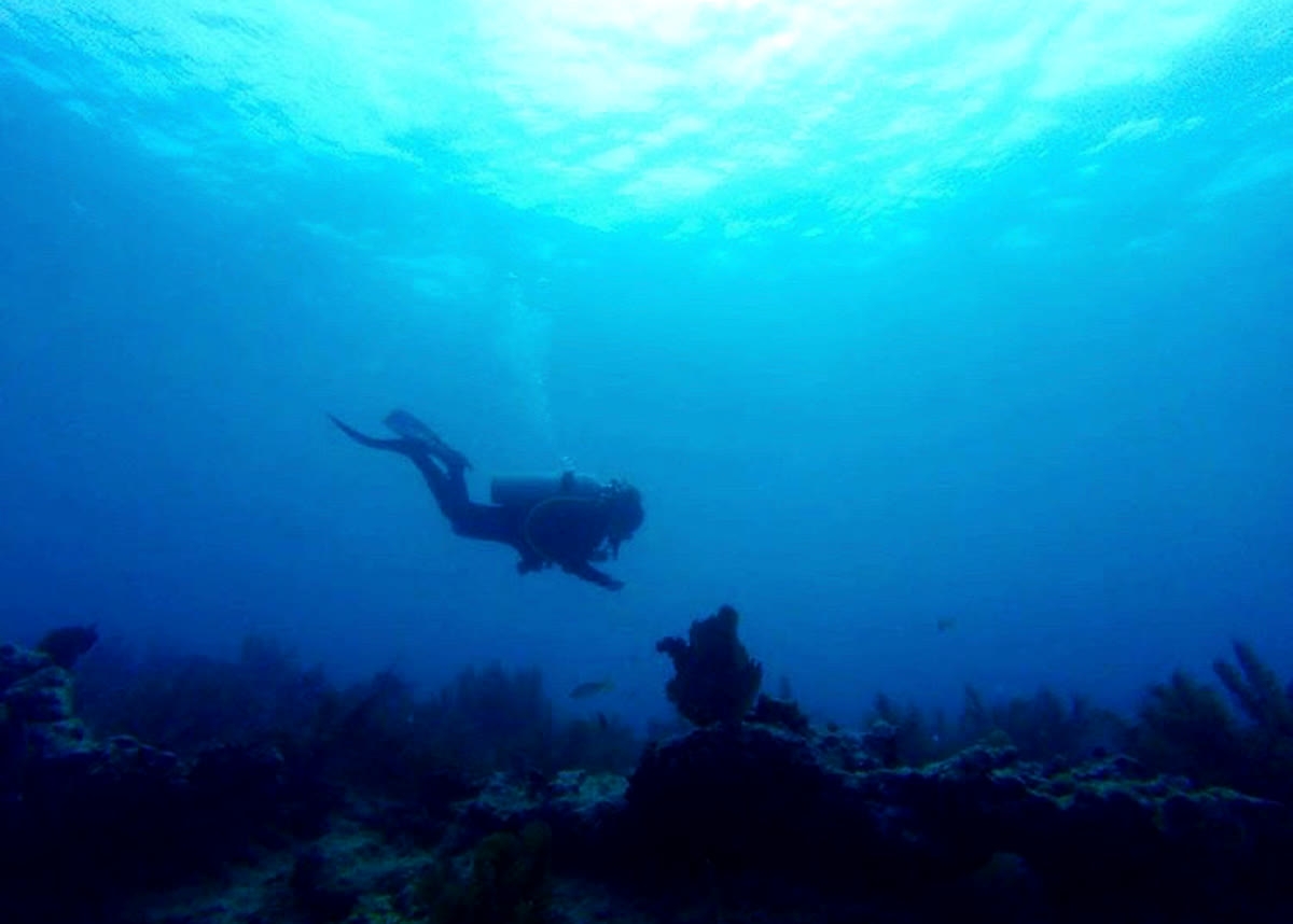 oldtowncycle's tweet photo. Meet Sam, a 24-year-old Marine Biology major with a focus in Coral Reef Restoration. A St. Augustine local, who has lived in Key West for the past 5 years where she studied at the College of the Florida Keys. She’s had the opportunity to study the reefs of the Florida Keys and p https://t.co/t6lZtbAMFX