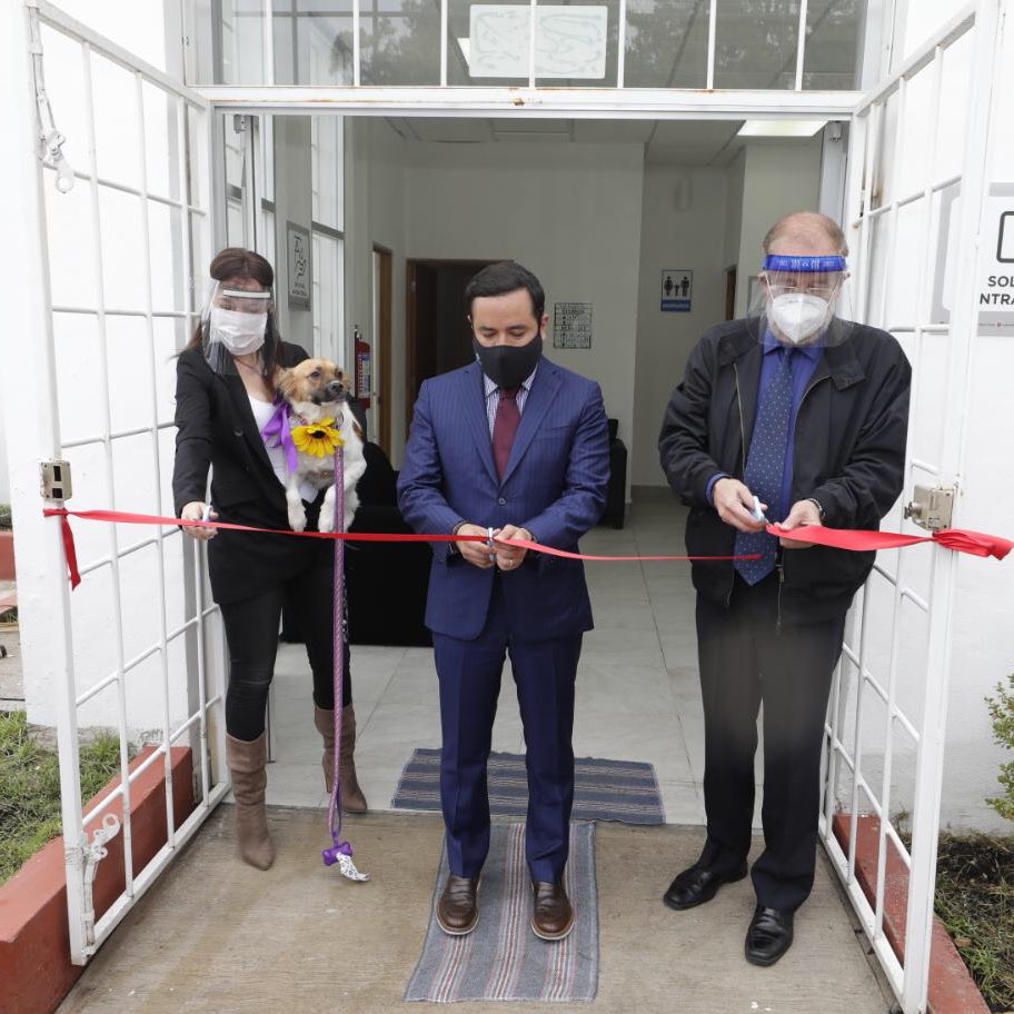 AlcaldiaMHmx's tweet photo. Esta mañana, nuestro Alcalde @vromog inauguró el primer Crematorio para Animales de Compañía en la Ciudad de México, ubicado en el #PanteónDolores.

#MHSustentable 
#MHelCorazónDeLaCapital https://t.co/DxySTBsnPY
