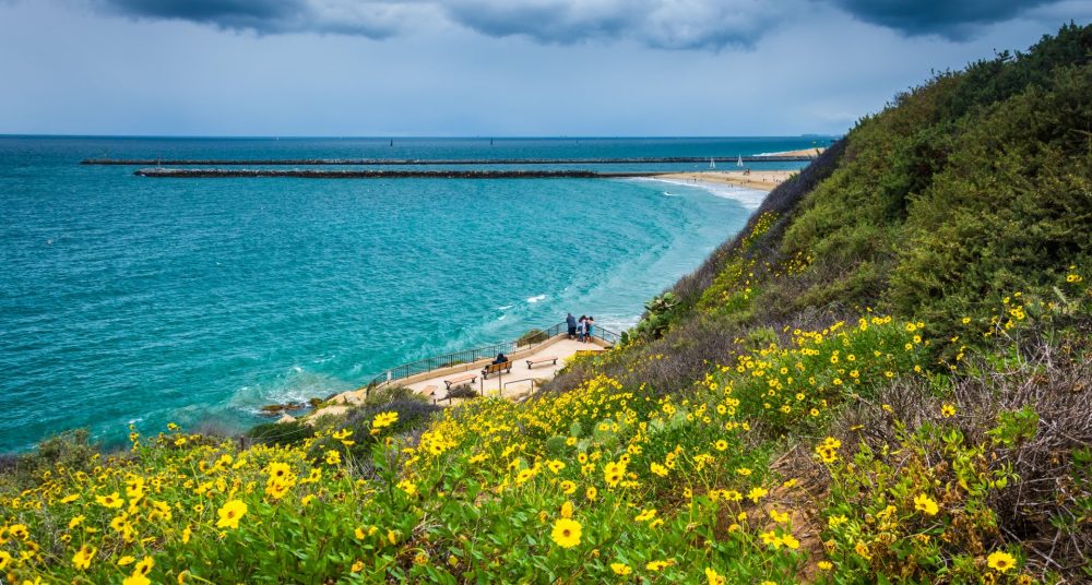 sarahpressman's tweet photo. I'm recruiting a post doc in sunny SoCal to help with two projects focused on #stress physiology, #emotion and health (one COVID related, one on #AugmentedReality). We're hoping to hire ASAP, so please drop me your CV if you are interested and please share/RT this! https://t.co/VgJFYAJND2