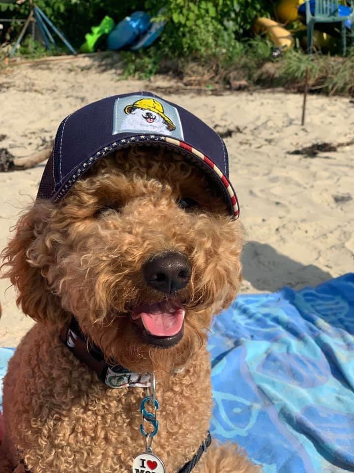 #SeaDog#Brewery#Open#Maine