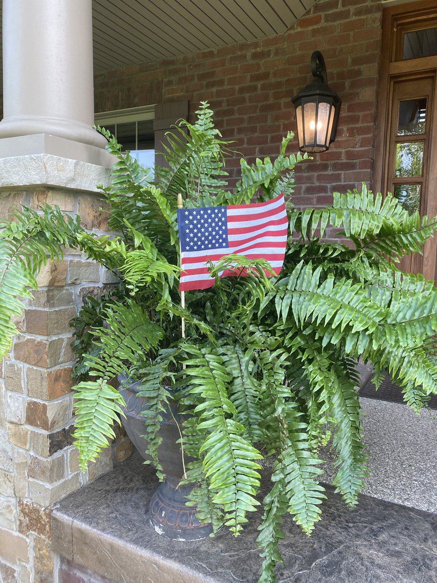t2andc2's tweet photo. Proud to be an American. #FlagsOut2020 #FlagsOutForAmerica https://t.co/AZrZG7y6jk