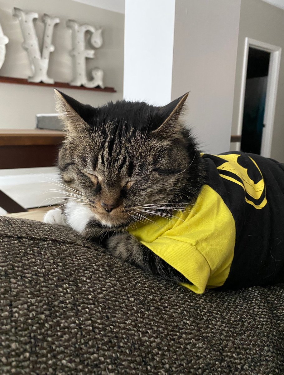 Daniel Larimer tweet media