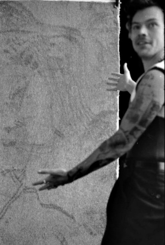 best of harry. (@theharrylibrary) on Twitter photo 