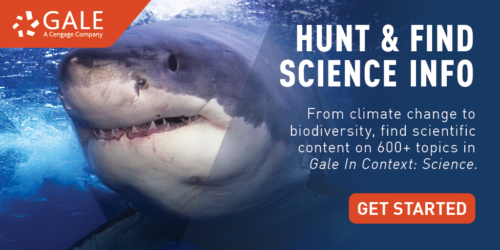 a photo of a great white shark in the ocean