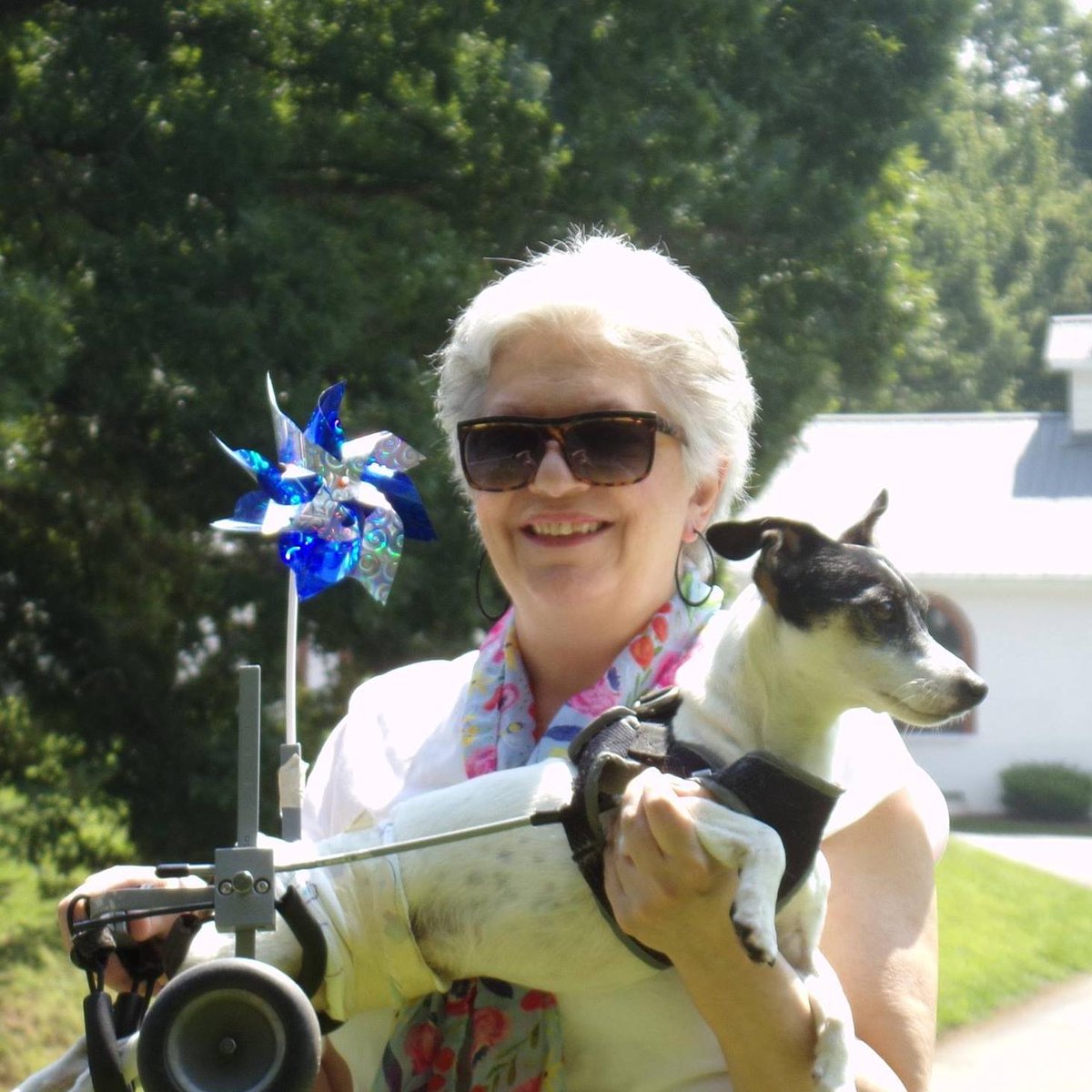 FMDartery's tweet image. Faces of FMD
Meet Carol from NC referred to a vascular dr for carotid stenosis due to plaque. US tech suspected FMD. Angio confirm carotid &amp;amp; renal fibromuscular dysplasia. Angioplasty R renal &amp;amp; open clip clip aneurysm. Sister &amp;amp; mom fmd. 2 brothers w/ Aortic artery aneurysm