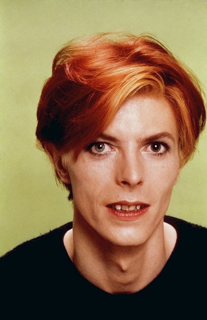 david bowie (bi)