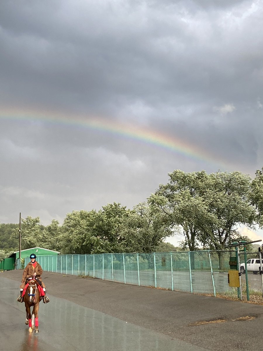MNTRHorsemen's tweet photo. Outrider and Petey heading for the races. Rainbows are good luck! @peterberry57 @mtrgaming @MidAtlanticTB @JerseyTom @CenturyDowns @cntymile @nationalhbpa #wvracing #wvthoroughbreds #ottb https://t.co/NUB6U8TQRS