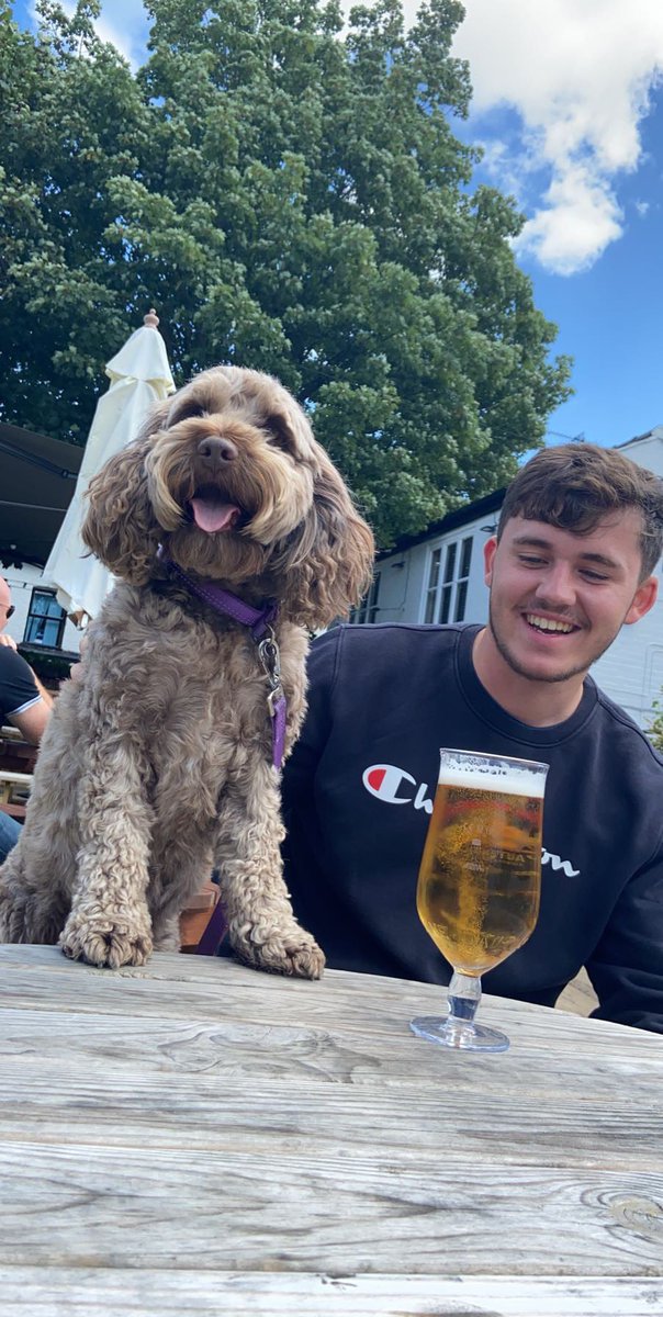 tharley_99's tweet photo. Twitter do your thing and find him a date x https://t.co/WvR28DjTEL