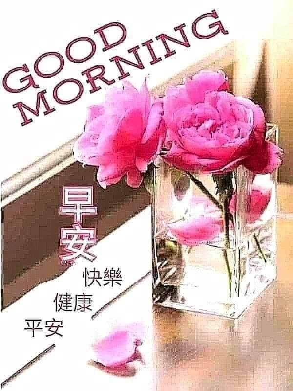 Ander Ang No Twitter Good Morning Happy Tuesday 周二愉快早安快快乐乐健健康康平平安安