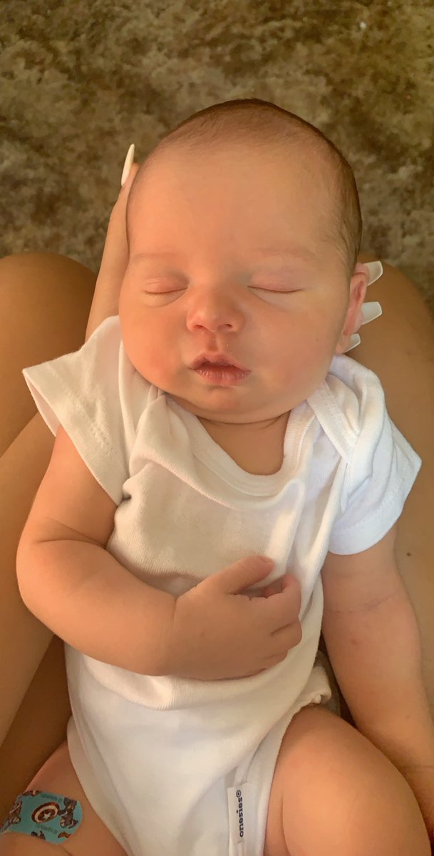 _alwine14's tweet photo. meet my super sleepy best friend, Kam 💙🧸 https://t.co/3dZGbcrBC0