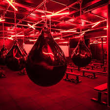 FayeConnell's tweet photo. 12.01am on the 25th July and the gloves were back on for a midnight riot boxing session followed by a hip hop boxing hiit class at 9.30am...running on nothing but pre work out and pure excitement!

I can finally train again 🙌🏼 https://t.co/KG2peChYgG