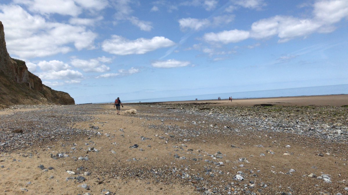 Itsfeteband's tweet photo. Happy #NorfolkDay Worried about an overcrowded beach? Not here! #EastRunton #WestRunton #Cromer @visitnorfolk https://t.co/GdcerjL9ij