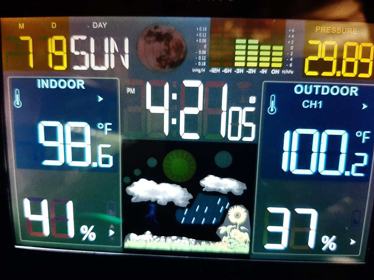 𝔹𝕣𝕚𝕒𝕟 𝔻𝕠𝕝𝕡𝕙𝕚𝕟𝕤 ✞ tweet media