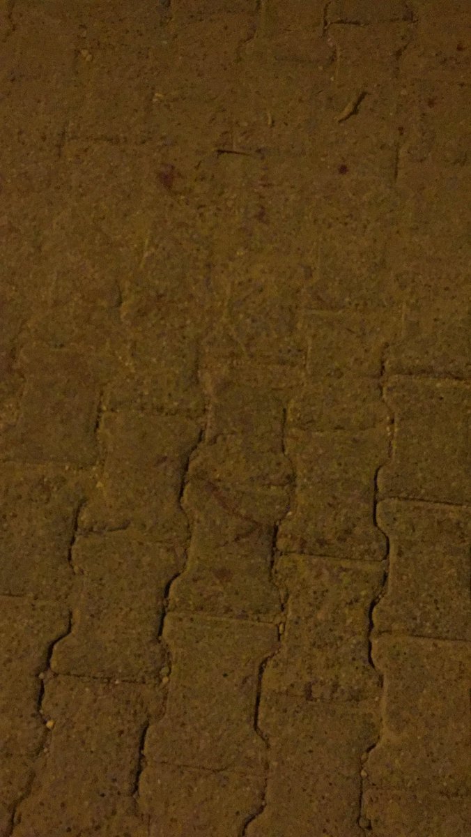 ltfgrdn1's tweet photo. @TokatBelediye Büyükbeybağı mahallesinde ralli yapan araçlar için 2  defa dilekçe vererek tümsek yapılması için beyanda bulunmamıza rağmen dikkate almıyorsunuzBugün bir hayvan ezildi illa çocuklarımız veya hayvanlarımıza bir zarar gelince mi yapmayı düşünüyorsunuz?@tokatvaliligi https://t.co/N3c5L0ae8M