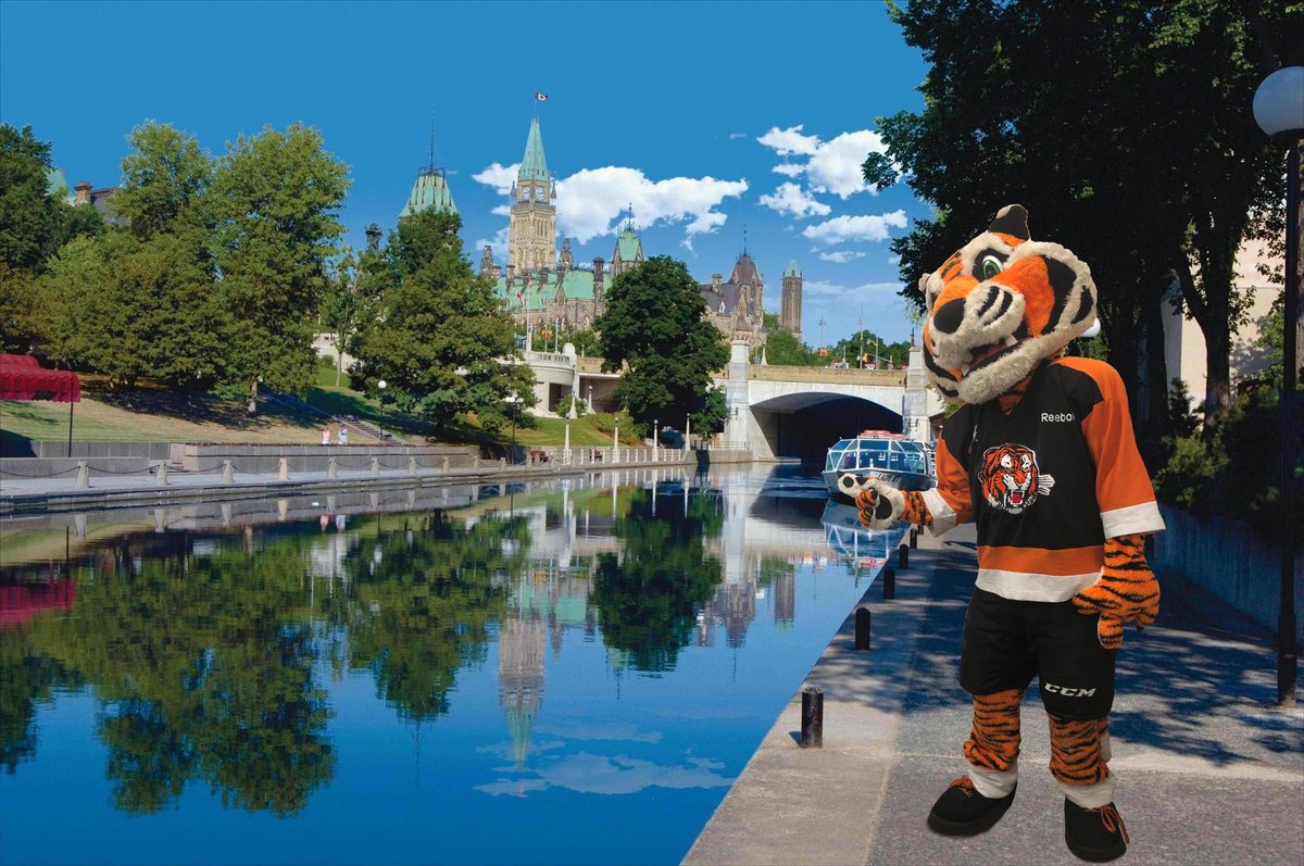 MHPublicLibrary's tweet photo. Clue #3 in our 'Where In The World Has Rroary Roamed?' contest was just delivered to inboxes! Read it with your kids and submit your guess here: https://t.co/AcmMRKTdww. Remember to subscribe to the mailing list so you get all future clues!🐯 @tigershockey #medhat #yxh #MHPL https://t.co/LBNUP5eVpz