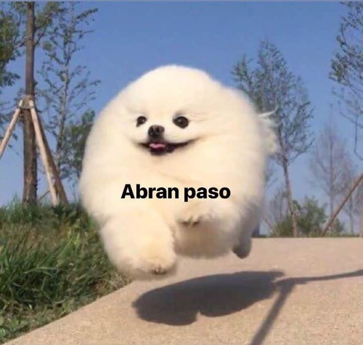 neurorecochero's tweet photo. Mood. https://t.co/gy6g9kKAHP