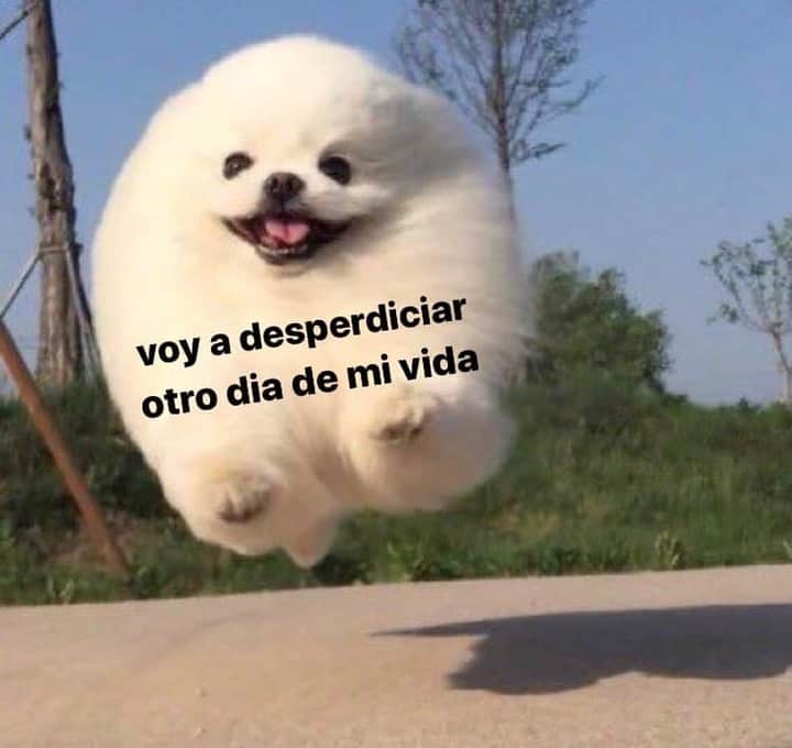 neurorecochero's tweet photo. Mood. https://t.co/gy6g9kKAHP