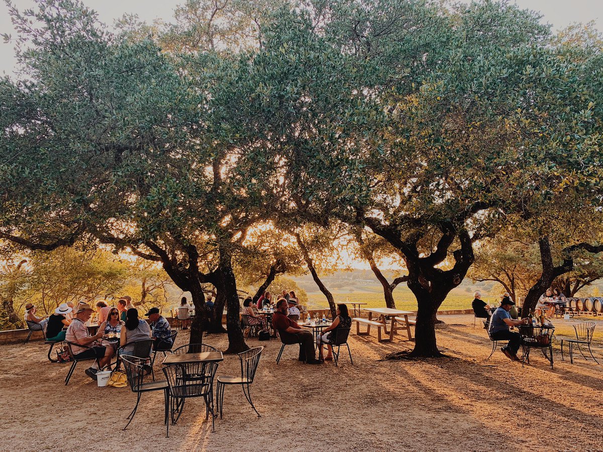 DoubleGoldCab's tweet photo. Our next sunset dinner at The Driftwood Bistro is THIS Thursday night! July 30th 🌤🥂

We still have some spots left! Call Mark now to reserve yours🍴 512-739-0052 | Limited Seating | Reservations are required | 21+

Menu in second photo! 
#txwine #wineandfood #supportlocal https://t.co/RO1a6ZsX62