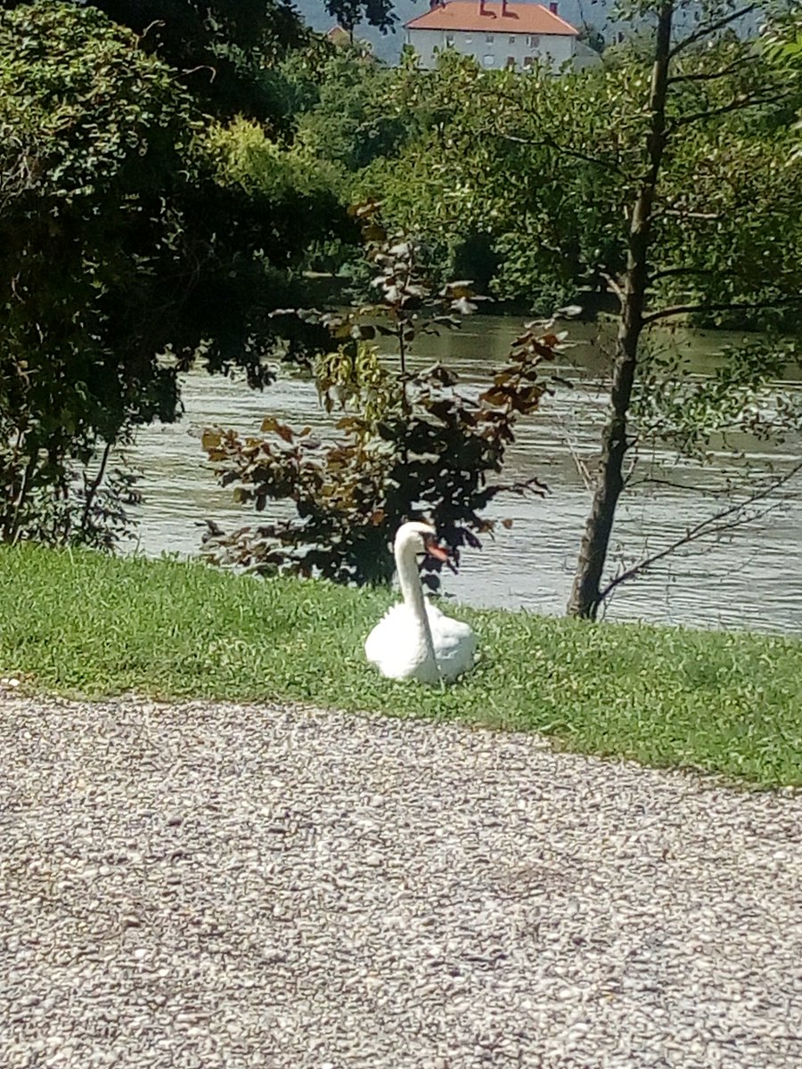 La Corniche Medical Tourism (@tourismla) on Twitter photo 