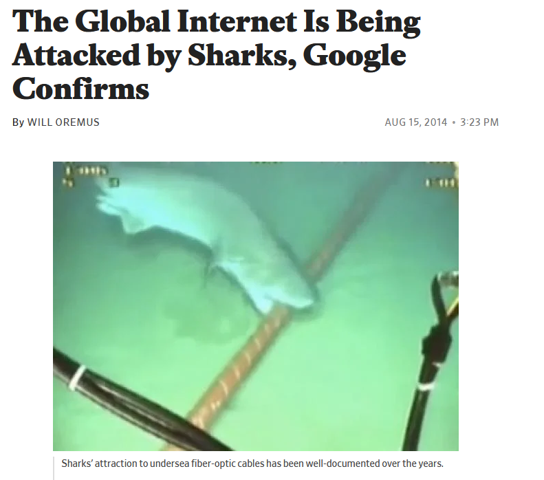 Back in 2014, sharks tried to protect us against what the internet would become but we didn't listen.