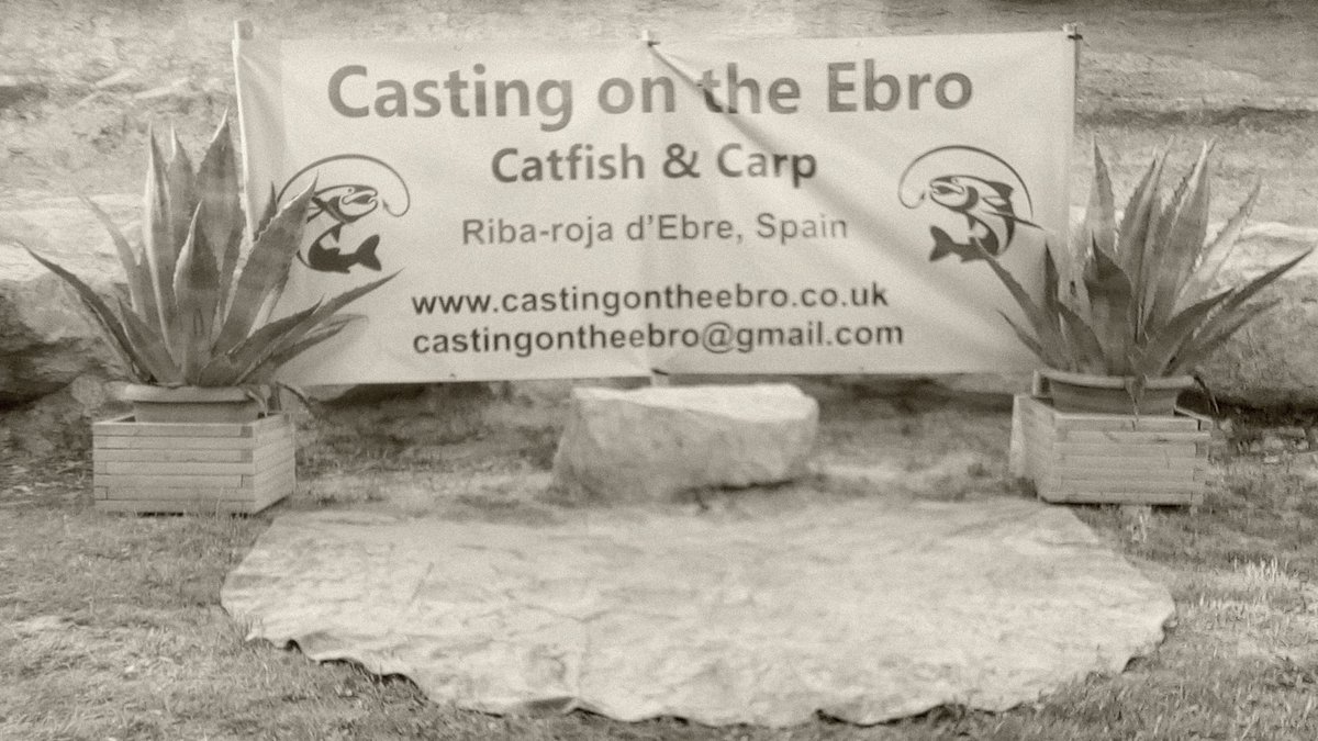 castingonebro's tweet photo. Can you tell me whats missing from this sad picture
Its you, fishing the mighty River Ebro showing off your captures. So why not get in contact and sort out a booking 
#castingontheebro #rivercarp #catfish #ribarojadebre  #gardenswims #100lbplus  
https://t.co/jYVLUmms0F https://t.co/NEfip4XE3A