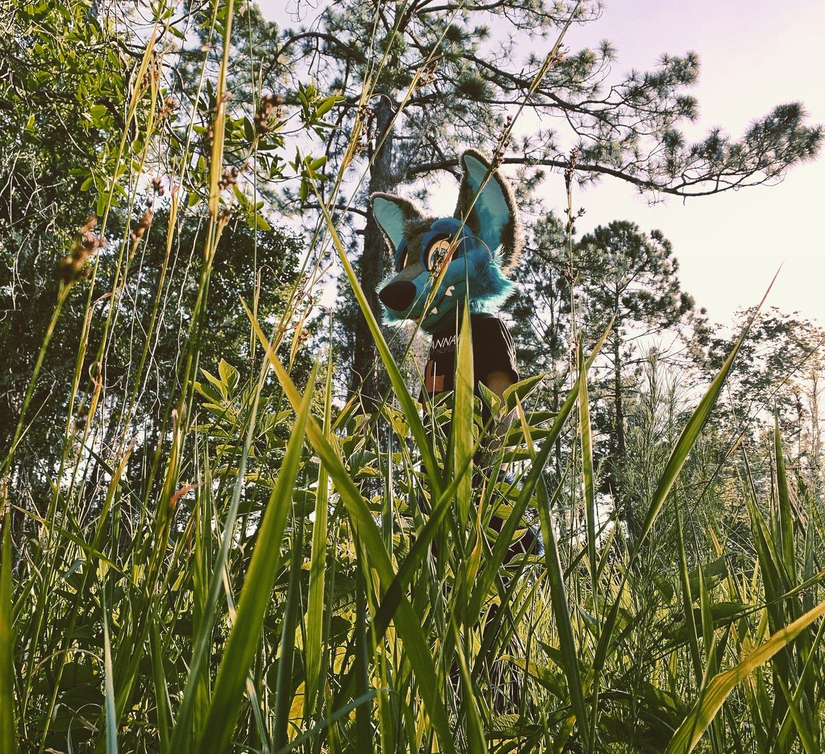 Neon_woof's tweet photo. POV ur a small creature im hunting for sustenance in the woods https://t.co/JA6Nc7ELcf