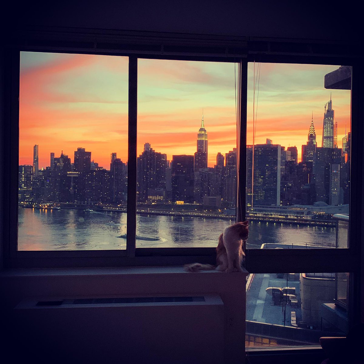 Thomas Morris tweet media