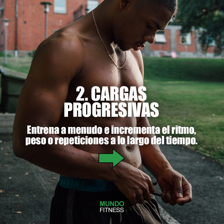 _MundoFitness's tweet photo. ¿Quieres aumentar masa muscular?💪
Sigue estos 3 pilares en tus entrenos, cuida tu alimentación y tu descanso y los resultados llegarán por si solos.
Visita nuestro blog para más: https://t.co/Jiz4iBo4K6
#MundoFitness #BodyBuilding #MassGaining #MasaMuscular #Bulking https://t.co/Q0s2a3f2AJ